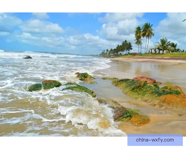 加纳与刚果激战一触即发 谁将赢得非洲足球荣耀之战 加纳与刚果激战一触即发 谁将赢得非洲足球荣耀之战