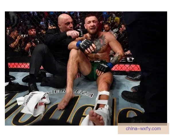 从八角笼到拳台的世纪对决康纳挑战梅威瑟商业与格斗的碰撞全球焦点 从八角笼到拳台的世纪对决康纳挑战梅威瑟商业与格斗的碰撞全球焦点