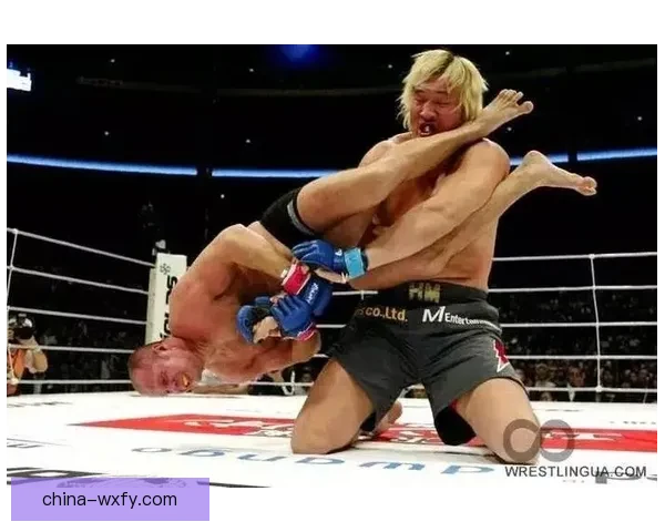 以菲多对决崔洪万的巅峰较量力量与技术的终极碰撞格斗史上最具反差的一战