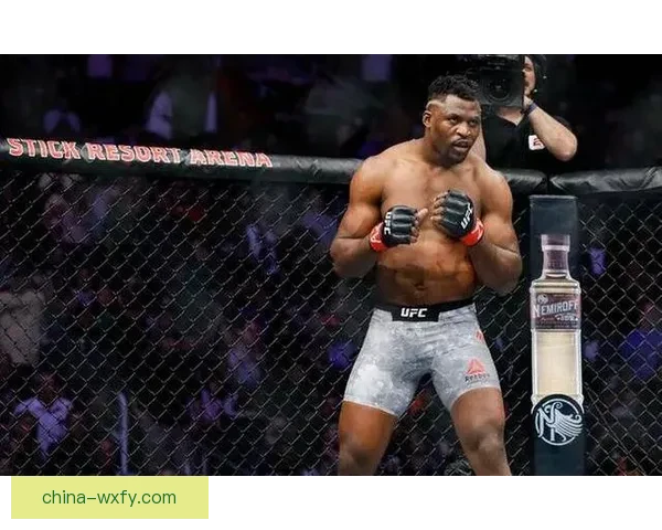 UFC纳干诺对决凯恩重量级王权更迭的历史性一战巅峰碰撞引爆全球擂台